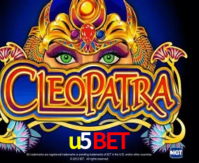 A Experiência Imersiva dos Cassinos Ao Vivo no u5bet