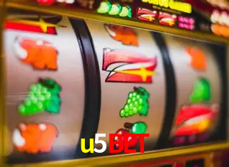 A Experiência Imersiva dos Cassinos Ao Vivo no u5bet
